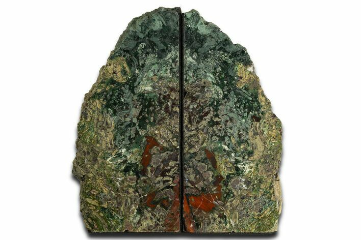 Green & Red Jasper Replaced Petrified Wood Bookends - Oregon #344137
